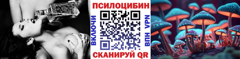купить наркотики цена Сланцы Псилоцибиновые грибы Magic Shrooms